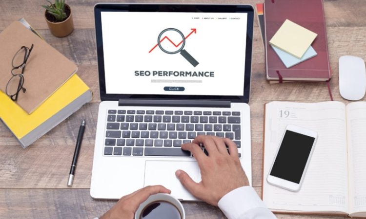 SEO Specialist Conducts